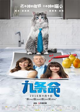 午夜免费小视频