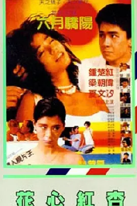 美女被c在线